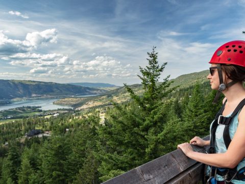 Person in helmet and harness on wooden platform, overlooking a scenic forest and river valley.