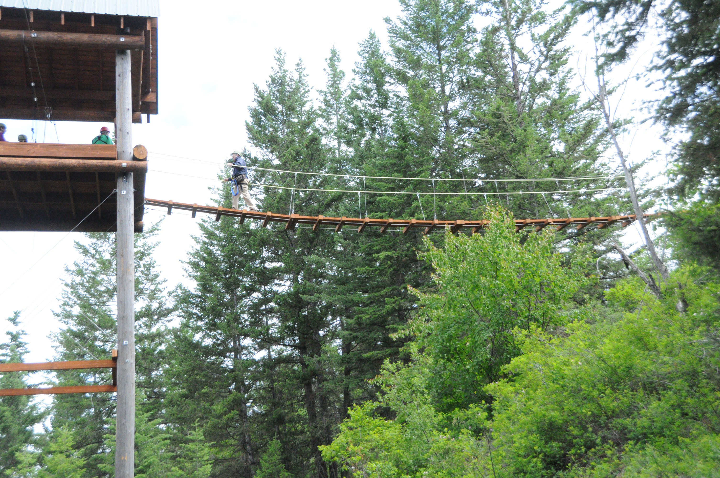 Person crossing a rope bridge in a forested area.