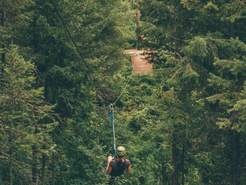 Person ziplining through a dense forest with tall green trees.