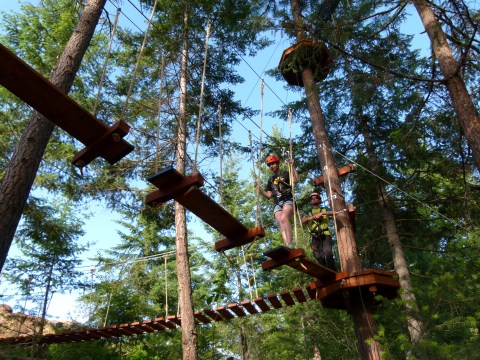 People navigating a treetop rope course in a forest setting.