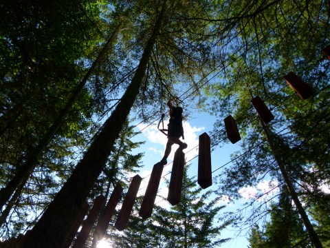 Silhouette of a person on a forest rope course under tall trees.